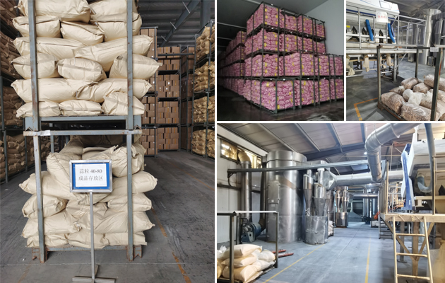 Dried minced garlic making factory
