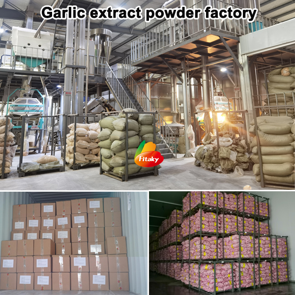 Garlic extract powder factory