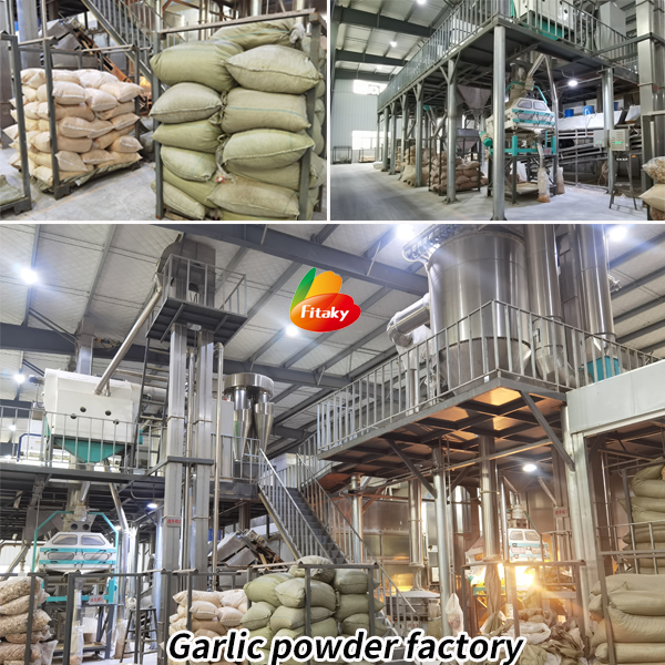 Garlic powder factory